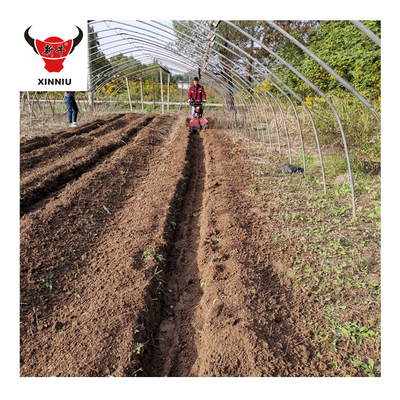 Multi-purpose Orchard Cultivator Mini Tiller with Gear Transmission Sale
