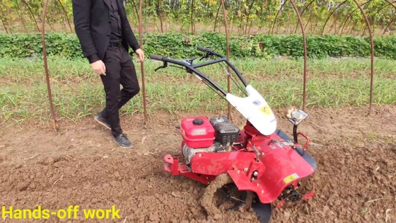 Tilling Width Over 10cm Farms Newly-designed 4.0KW Gasoline Engine Mini Rotary Tiller