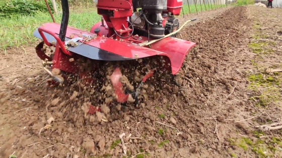 Tilling Width Over 10cm Farms Newly-designed 4.0KW Gasoline Engine Mini Rotary Tiller