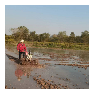 Directly Connected Mini Tiller Cultivator for Small-Scale Farming Needs