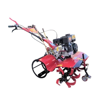 170F All Gear Transmission Directly Connected Farm Cultivator for and Rotary Tillage