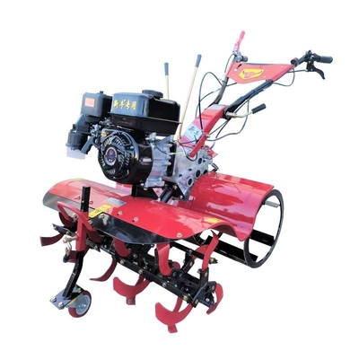 170F All Gear Transmission Directly Connected Farm Cultivator for and Rotary Tillage