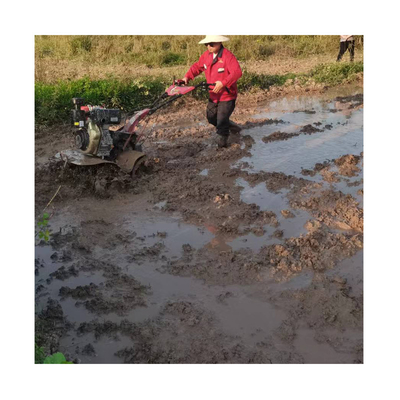 Design All Gear Transmission Mini Power Tiller Cultivator for Weeding and Rotary Tillage