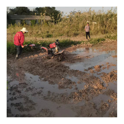 Design All Gear Transmission Mini Power Tiller Cultivator for Weeding and Rotary Tillage