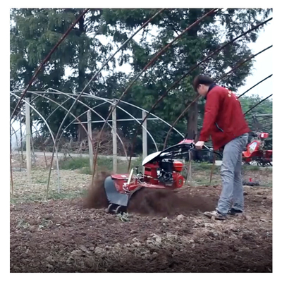 Economical Mini Power Tiller Gear Cultivator 10-40cm Tilling Width and Gasoline Ditching