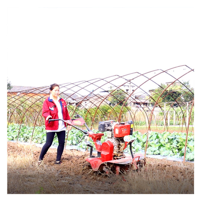 Professional Agriculture Machinery Equipment 4KW Mini Power Tiller for Farming