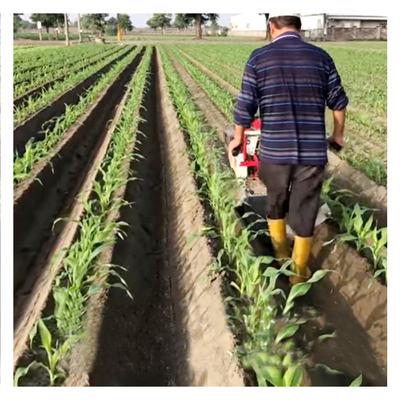 Economical Diesel Agriculture Tiller with Gear Transmission and Chassis Structure