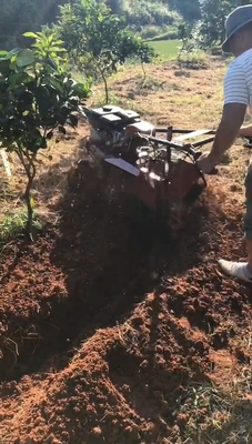 Hand Push 5HP/6HP/7HP Mini Vineyard Tiller Cultivator for Orchard Tilling Requirements