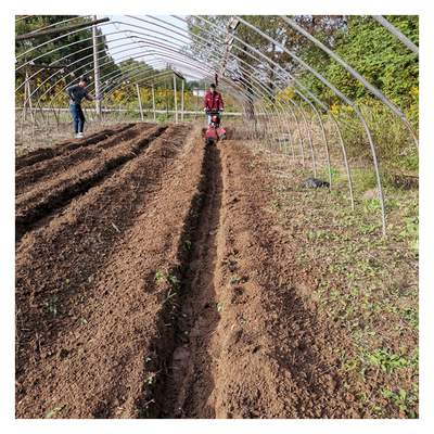 High Safety Level Orchard Agriculture Machine Ridging Mini Farm Power Tiller for Power