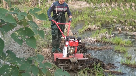 Advanced Four-Wheel Drive Gasoline Engine Farm Cultivator for Agriculture Equipment