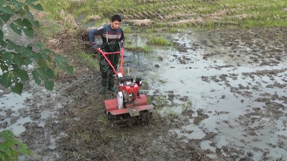Advanced Four-Wheel Drive Gasoline Engine Farm Cultivator for Agriculture Equipment