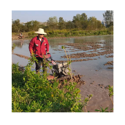 Newly-Designed 170F Gasoline Engine 4WD Mini Power Tiller Cultivator Compact for Farm