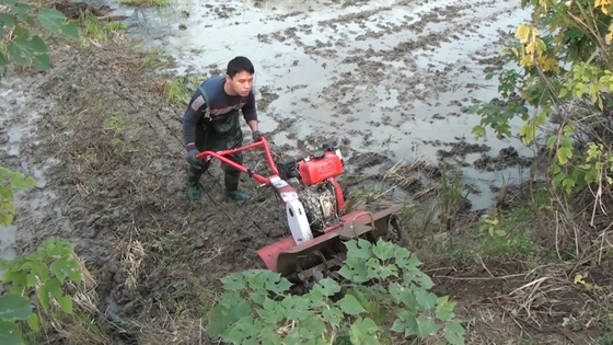 Advanced Four-Wheel Drive Gasoline Engine Farm Cultivator for Agriculture Equipment