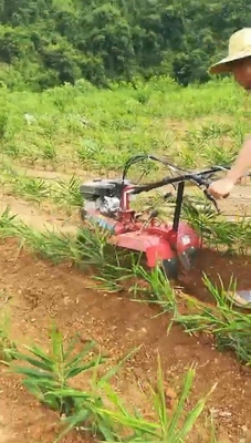 Four-Wheel Drive Economical Orchard Gasoline Engine Power Tiller with Gear Box