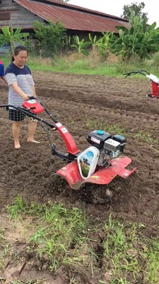 Multi-function 4KW / 5KW Gasoline Paddy Weeder Rotary Tiller with Powerful Performance