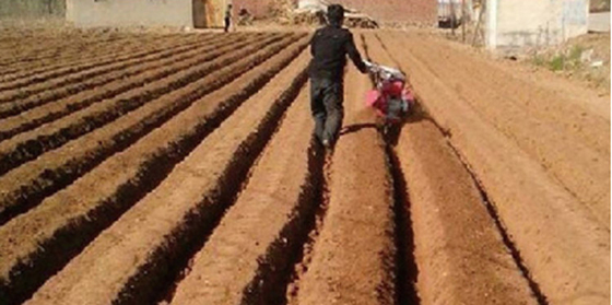 Four-Wheel Drive Chassis Trenching Weeding Farm Implement for Optimal Soil Cultivation