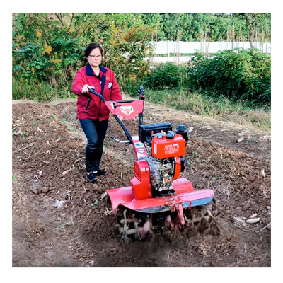 Affordable Diesel Engine Mini Power Tiller for Weeding at Home Optional Features