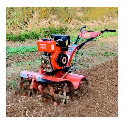 Affordable Diesel Engine Mini Power Tiller for Weeding at Home Optional Features