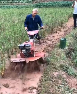 Affordable Diesel Engine Mini Power Tiller for Weeding at Home Optional Features