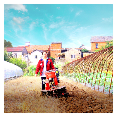 High Safety Level Rotary Cultivator Gasoline Gear Structure Mini Power Tiller 7hp for Garden
