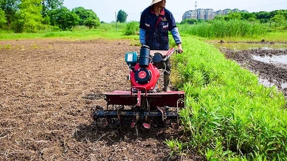 Four-Wheel Drive Multu-purpose Agricultural Equipment 173F Diesel Engine Cultivator for Garden