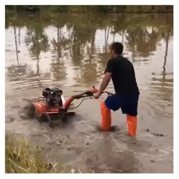 High Safety Level Rotary Cultivator Gasoline Gear Structure Mini Power Tiller 7hp for Garden