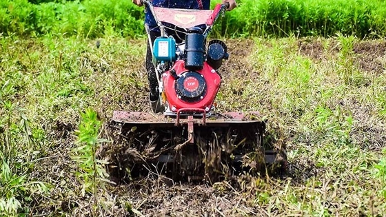 Four-Wheel Drive Multu-purpose Agricultural Equipment 173F Diesel Engine Cultivator for Garden
