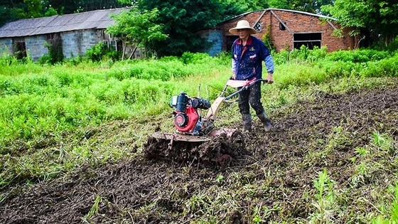 Four-Wheel Drive Multu-purpose Agricultural Equipment 173F Diesel Engine Cultivator for Garden