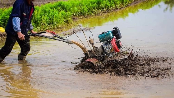 Four-Wheel Drive Multu-purpose Agricultural Equipment 173F Diesel Engine Cultivator for Garden
