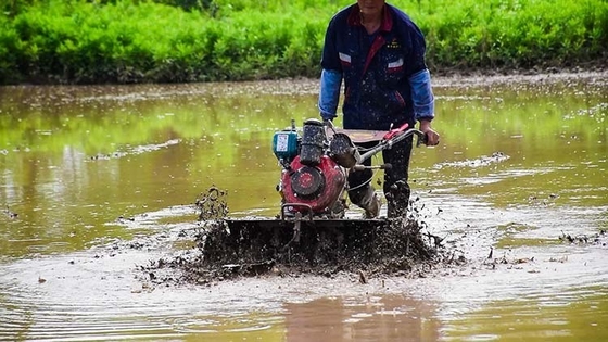 Four-Wheel Drive Multu-purpose Agricultural Equipment 173F Diesel Engine Cultivator for Garden