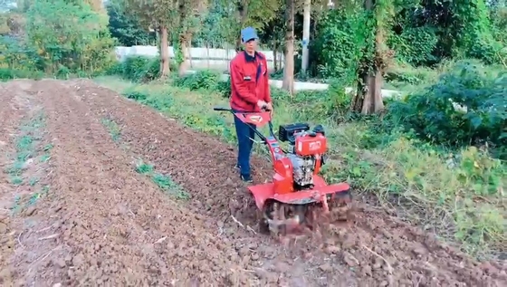 4KW Short Model 173f Diesel Engine Power Tiller for Sustainable Agriculture
