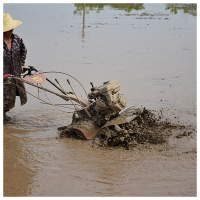 Gasoline Power Type 170F Engine 4WD Rotary Tiller for Farming Machine 1100*1050*880mm