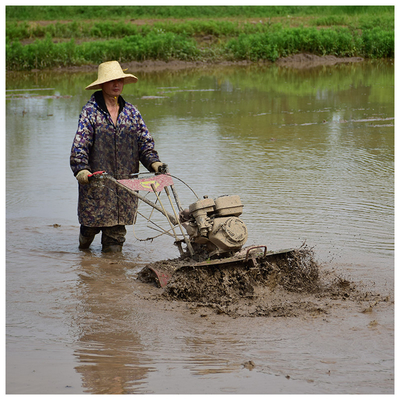 Gasoline Power Type 170F Engine 4WD Rotary Tiller for Farming Machine 1100*1050*880mm