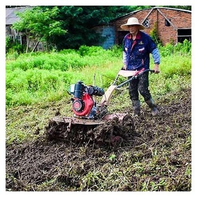 High Safety Level 4KW 173F Diesel Engine Mini Tiller The Best Choice for Weeding Tasks