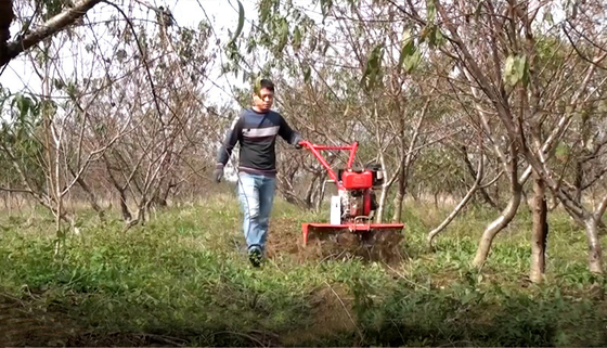 155*75*105cm Rotary Cultivator for Economical and Time-Saving Paddy Field Cultivation