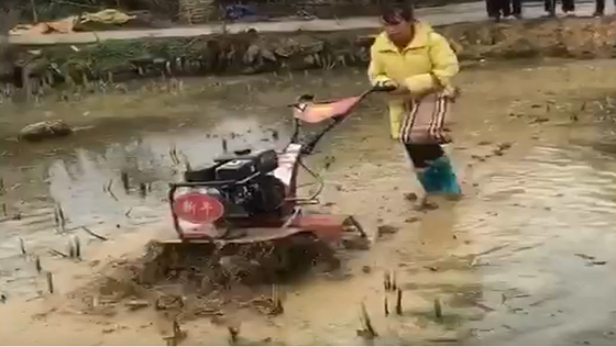155*75*105cm Rotary Cultivator for Economical and Time-Saving Paddy Field Cultivation