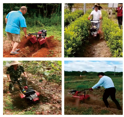 Multi-Purpose Orchard Tiller with Durable Gear Transmission and Powerful Gasoline Engine