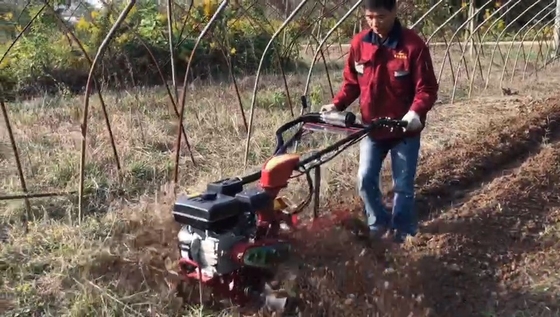 70cm Working Width Four-Wheel Drive Ditching Machine for Orchard Featuring Gasoline Engine