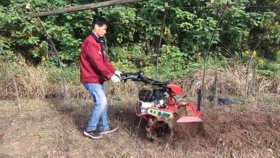 177F Gasoline Engine Four-Wheel Drive Mini Power Tiller Cultivator for Farm and Garden