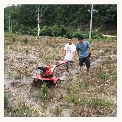 Small Power Latest Design Four-Wheel Drive Mini Power Tiller for Home Farm Cultivator