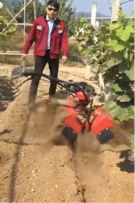 70 KG Ditching Weeding Fertilizing Intertillage Ridging Tiller with Gasoline Engine