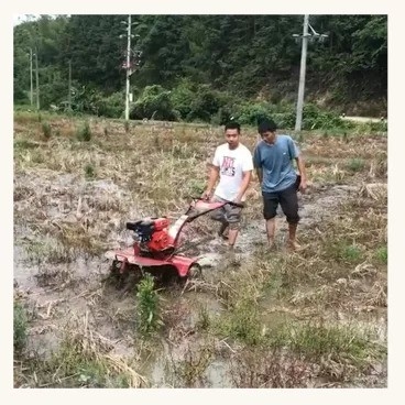 Gasoline Mini Power Tiller with Rotary Tillage Lightweight and 65 KG Load Capacity