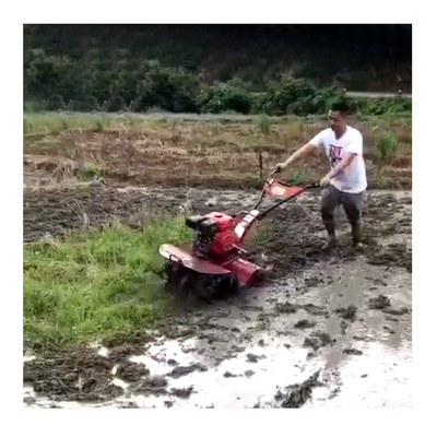 160*62*108cm Tractor and Rotary Tiller for Your Agricultural Needs