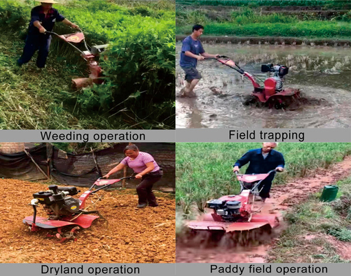 Multi-functional 160*62*108cm Gasoline Engine Mini Power Rotary Tiller for Farming