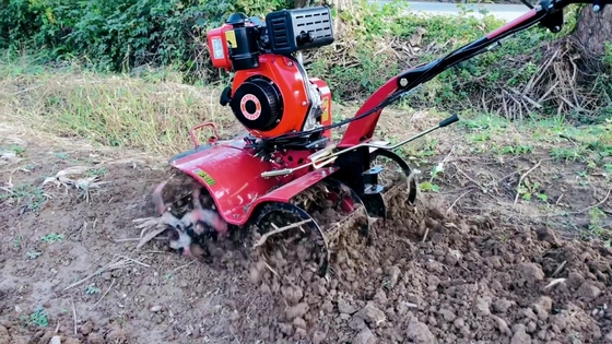 186F Diesel Engine Mini Power Tiller Cultivator for Agriculture Machinery Equipment