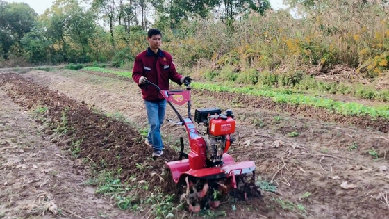 Powerful 186F Diesel Engine Four-Wheel Drive Mini Power Tiller Cultivator for Market
