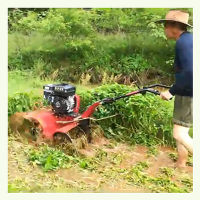 Adjustable Working Width and Tilling Width Mini Power Tiller with Four-Wheel Drive