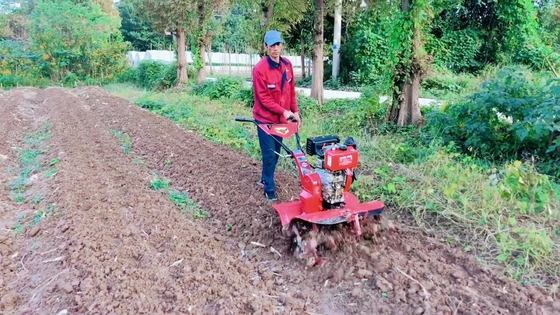 186F Diesel Engine Four-Wheel Drive Mini Power Tiller Cultivator for Farms Efficiency