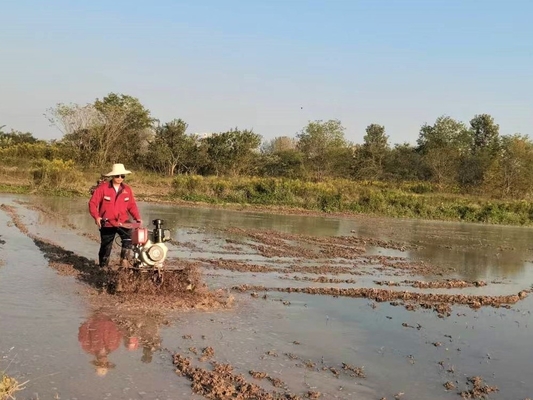 Agriculture Machinery Equipment Model 186F 192F Heavy Mini Power Tiller For Hard Land
