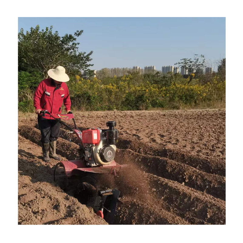 Efficiently Cultivating Paddy Field and Dry Land Diesel Power Type Farming Equipment